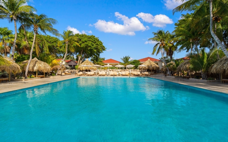 Livingstone-Pool3van7