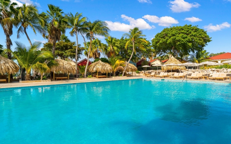 Livingstone-Pool5van7